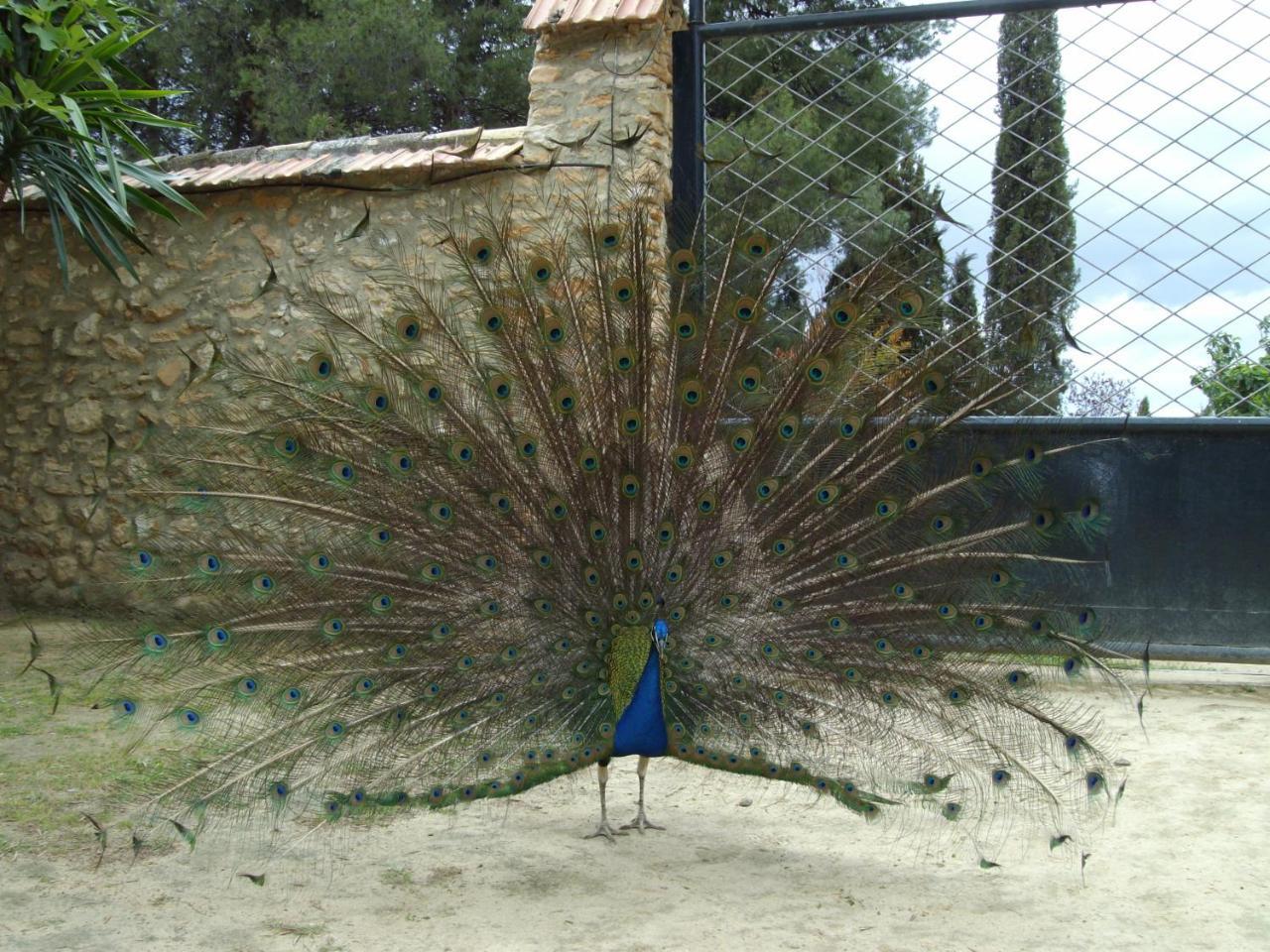 Cortijo Ferradores Humilladero Exterior foto